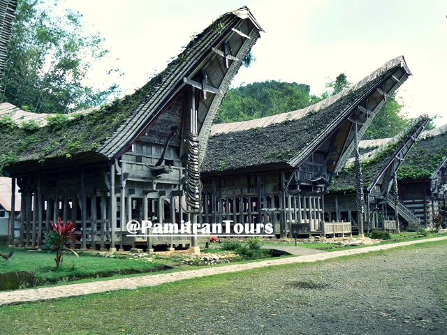 Tana Toraja Tour Package | 4 Days 3 Nights | Sulawesi Island Indonesia